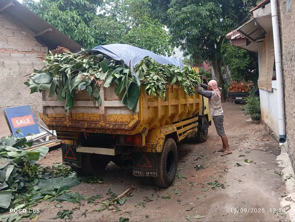 Buang sampah pohon