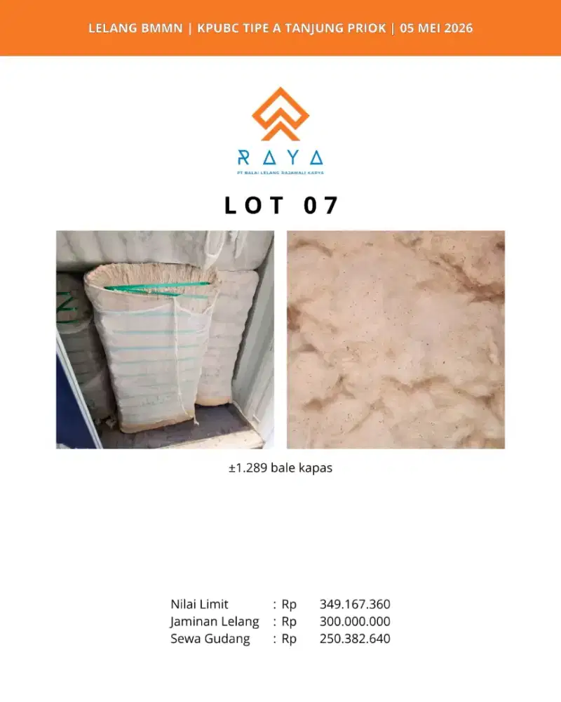 KAPAS (1289 BALE)