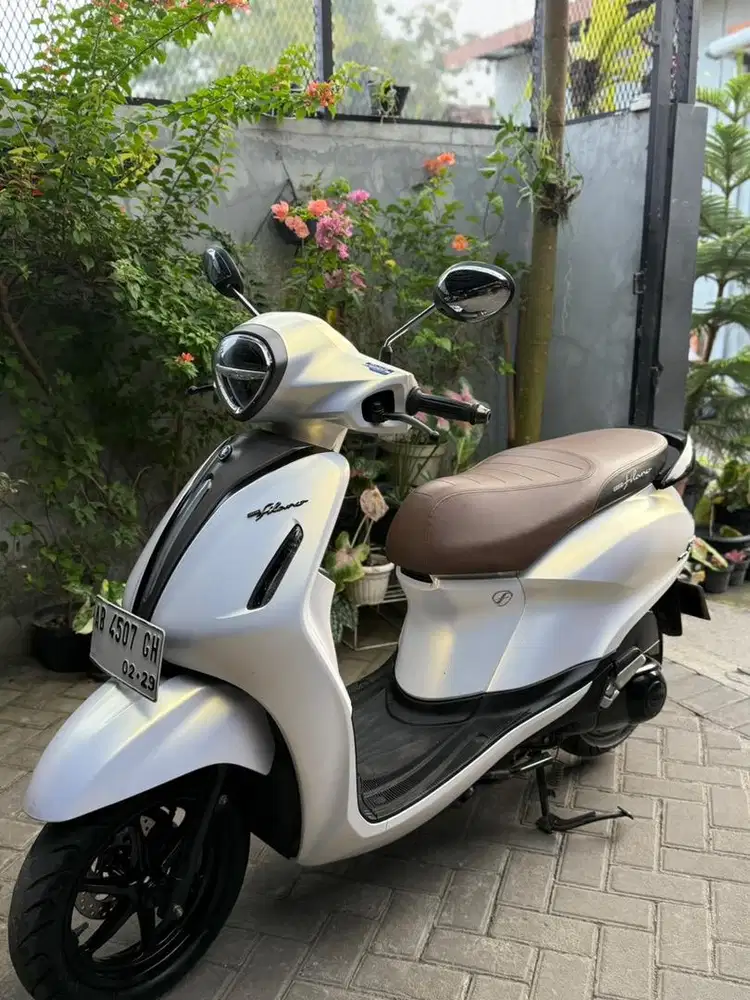 Filano 2023 plat ab pajak on