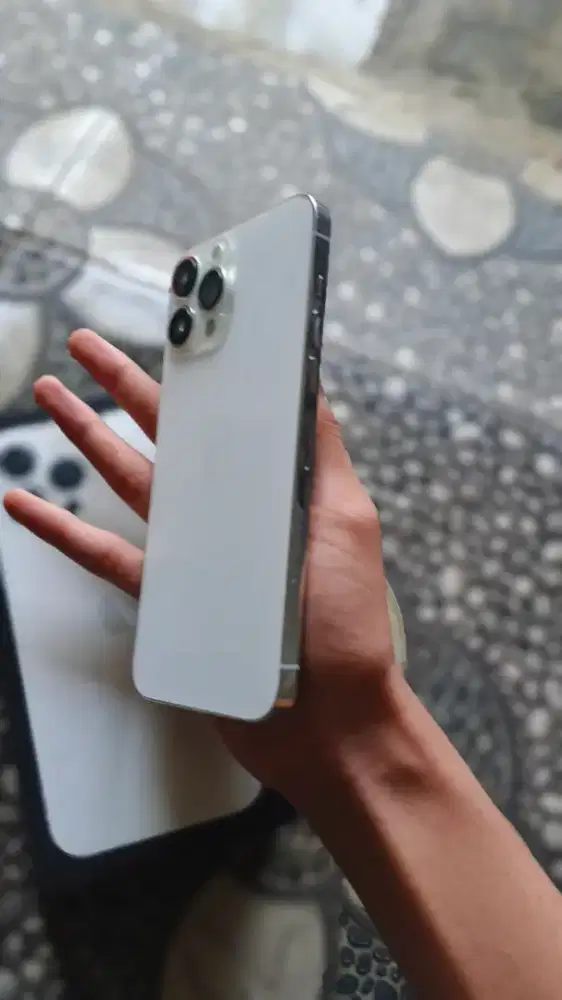 iPhone 13 pro max inter allop
