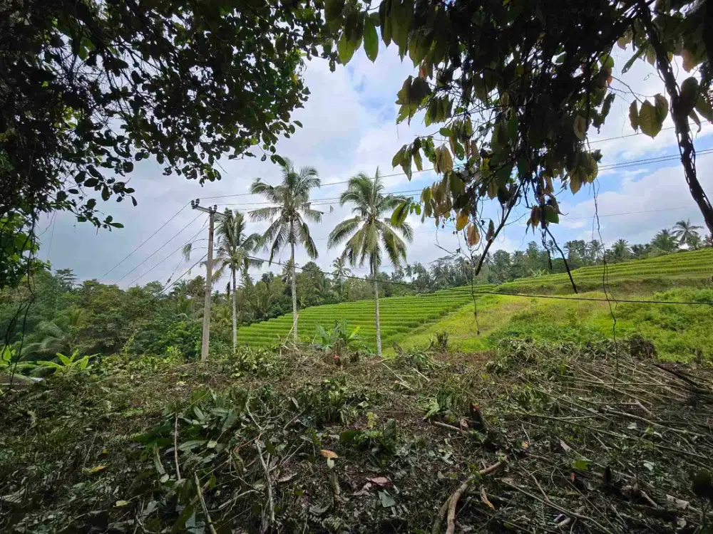 Dijual tanah murah los sungai view sawah terasering dan gunung di bali