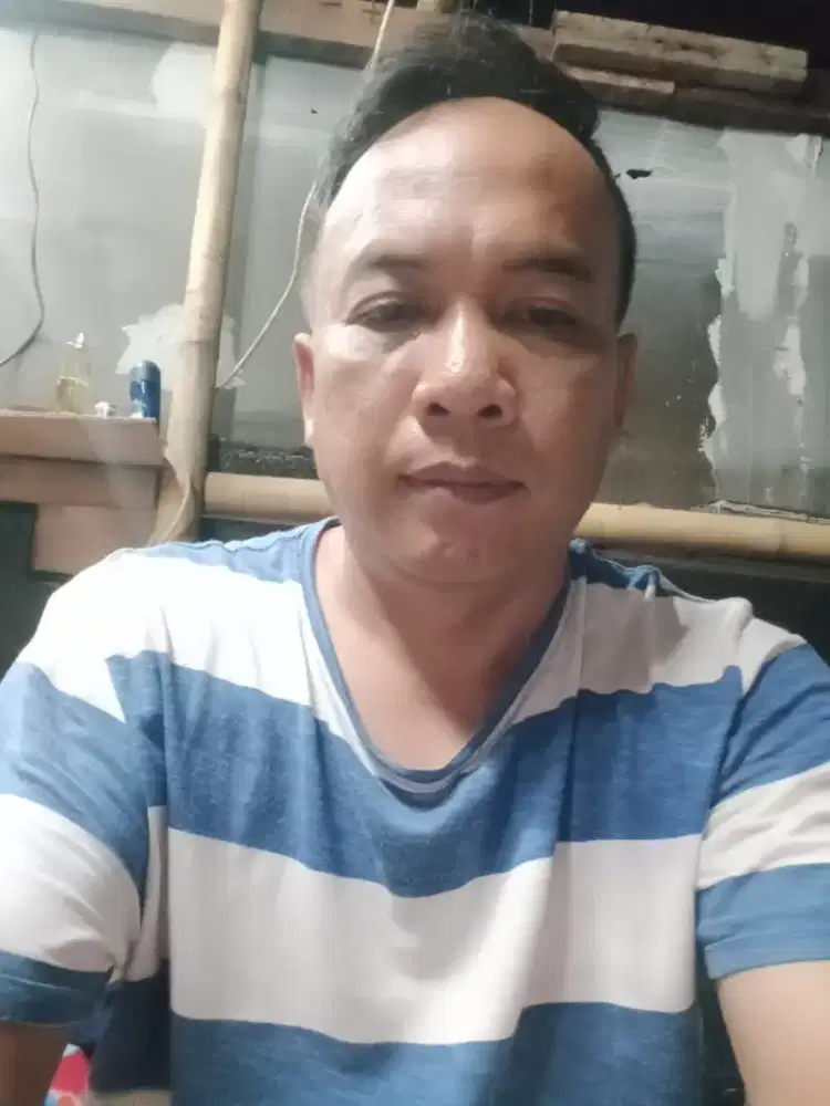Saya sedang mencari kerja