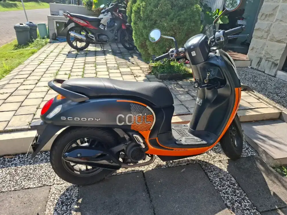 Di Jual Scoopy Fashion Orange Black