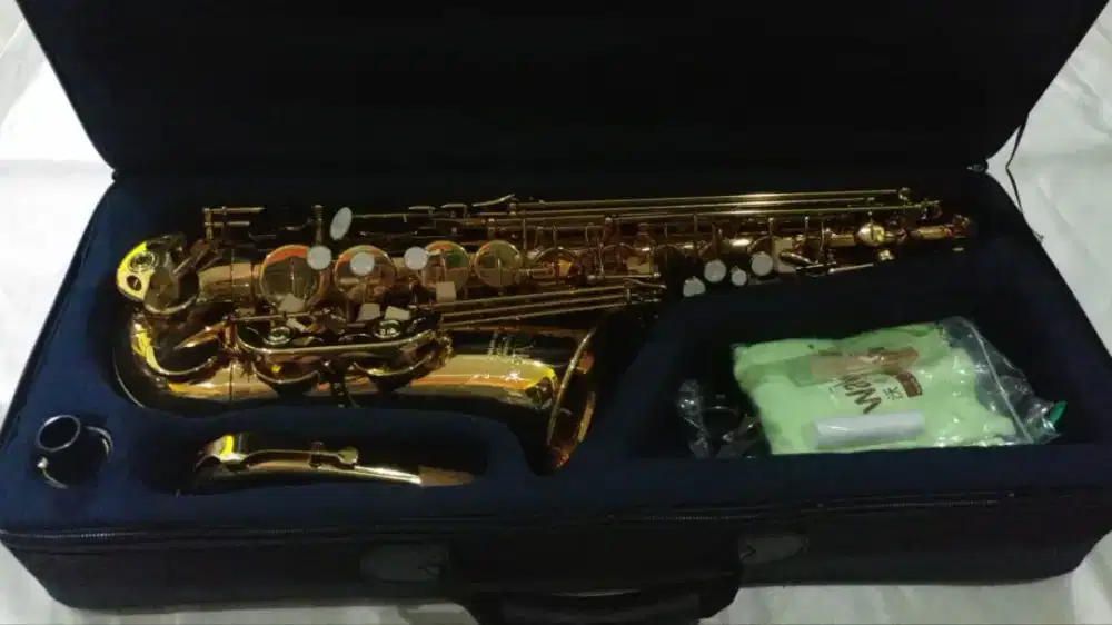 Saxophone Alto Walker Germany Gold