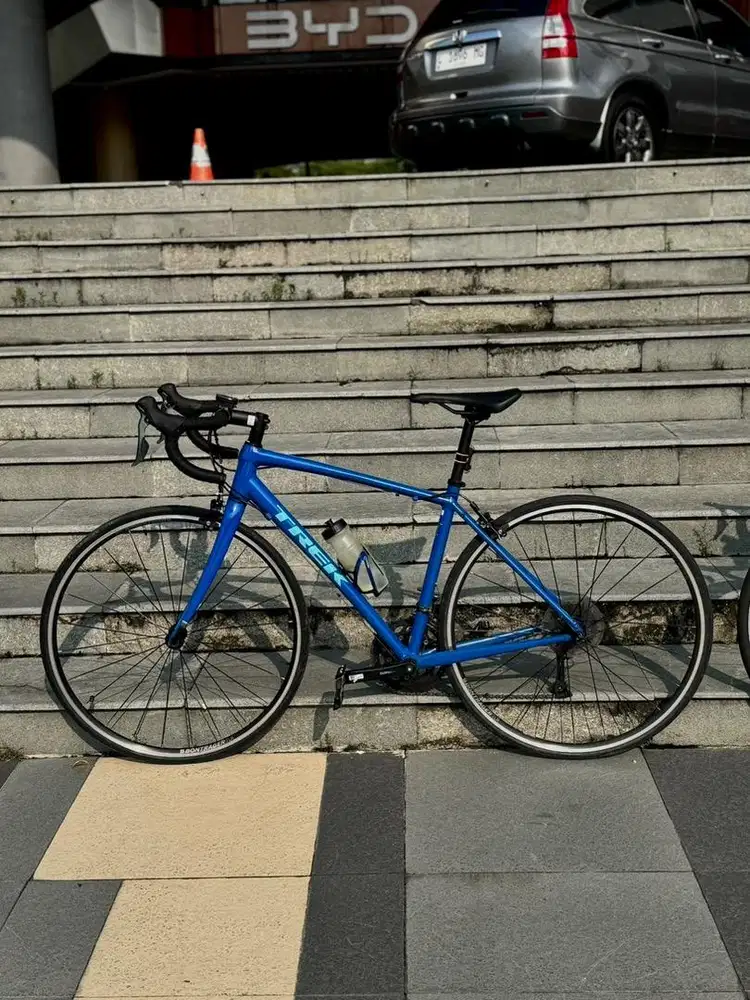 Trek Domane AL 2 Rim Brake
