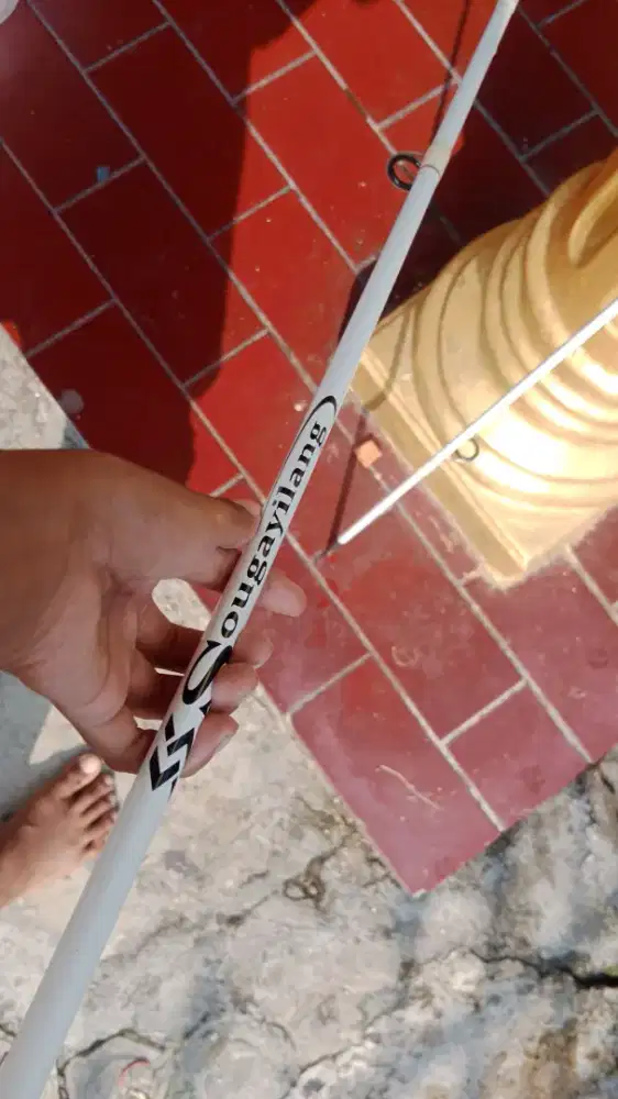 Pancing sougayilang 180cm, (BUTUH UANG)