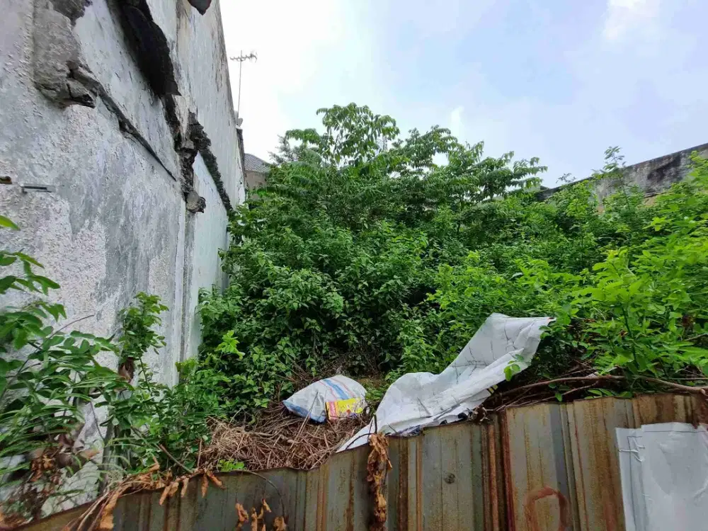 jual tanah shm di karang empat dekat jl leo sby murah