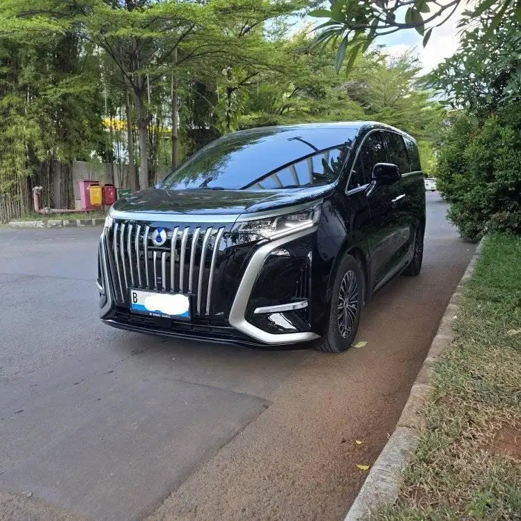 2025 Denza D9 MPV EV KM 11000 Antik