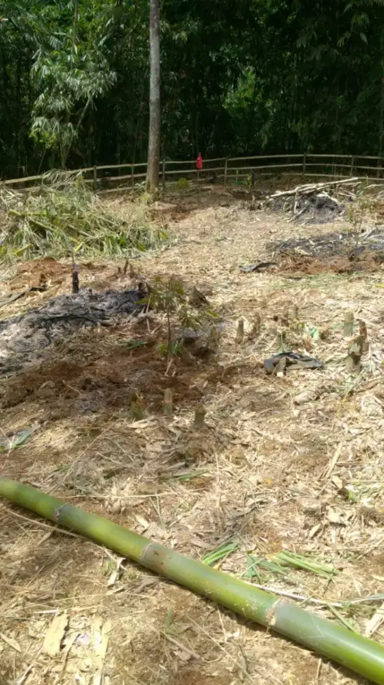 Dijual Cepat (BU) Tanah seluas 53 Hektar Lokasi Masuk Dump Truk