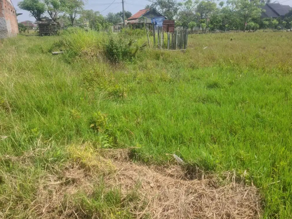 Jual Tanah Murah Sukatani Bekasi - Lokasi Strategis , Dekat Tol Tambun