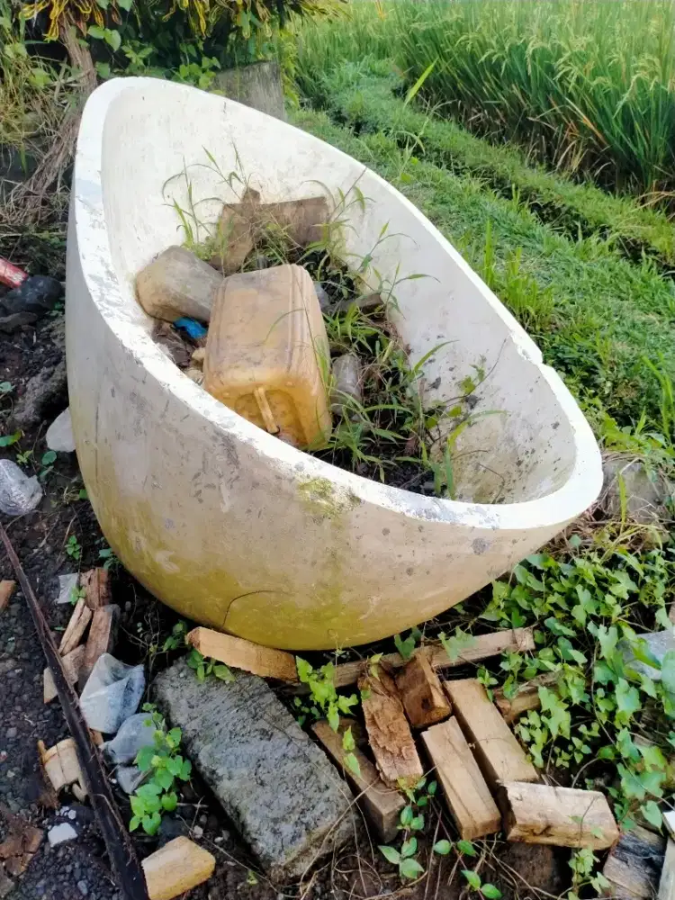 Bathtub (tempat berendam/mandi)