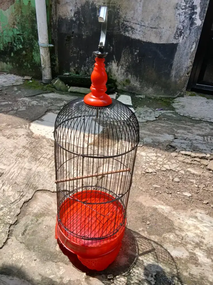 Kandang besi burcil
