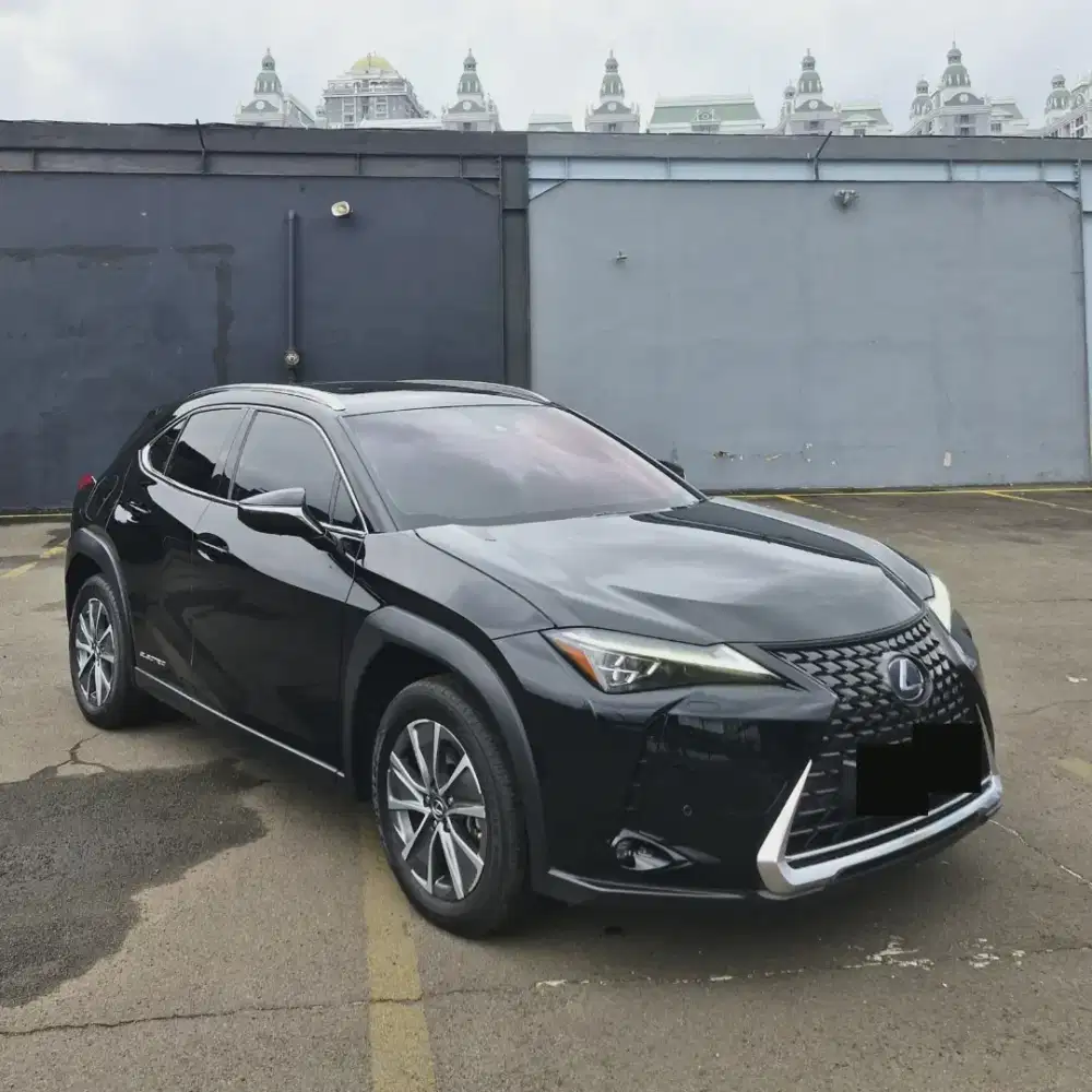 Lexus UX 300E Nik 2022
Electric