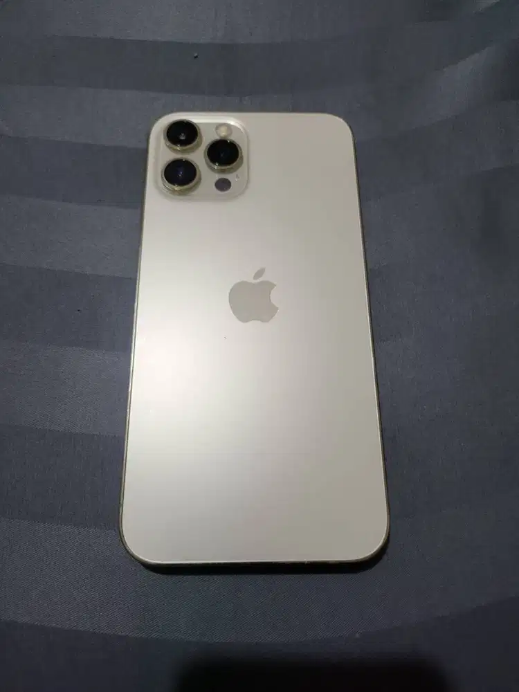 Iphone 12 Promax 256 GB Gold Second Terawat