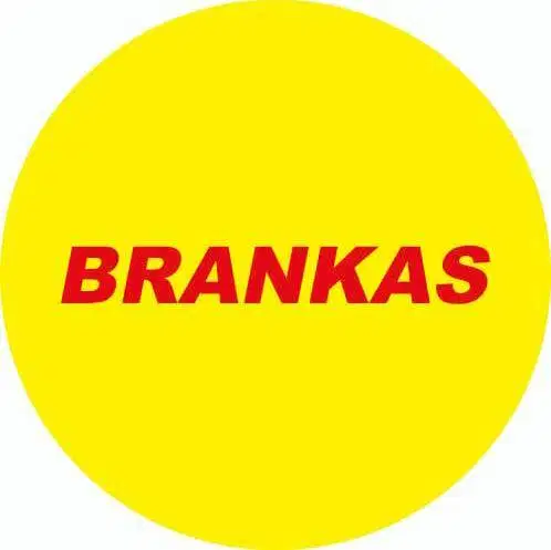 Brankas baru tahan api