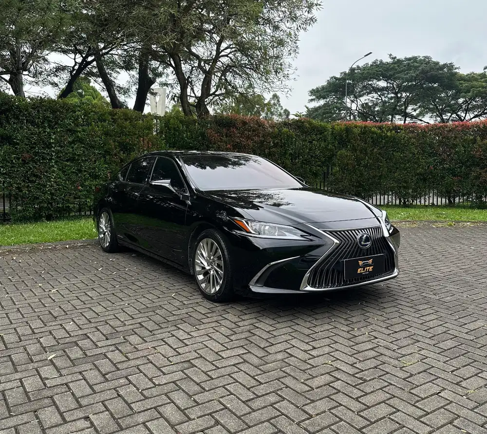 Lexus ES300h Ultra Luxury Sedan 2021