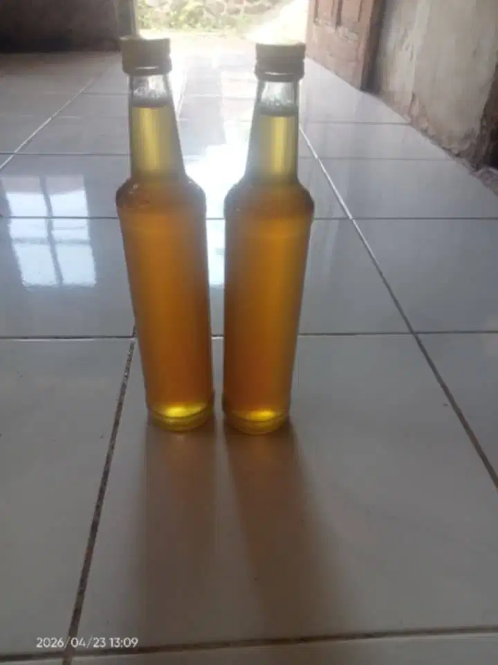 madu hutan asli