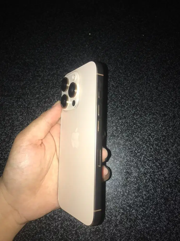 iPhone 16 Pro 256GB Dessert Titanium - Garansi Resmi & Asuransi Aktif