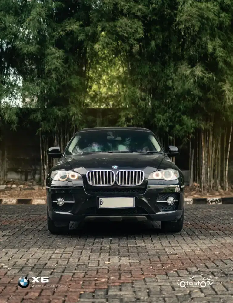 BMW X6 xDrive35i 2010