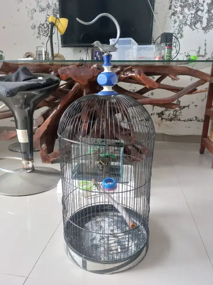Sangkar Besi Pamulang