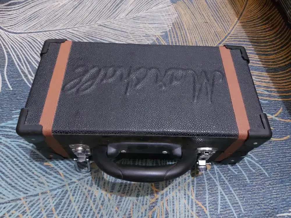 Hardcase effect unit aja