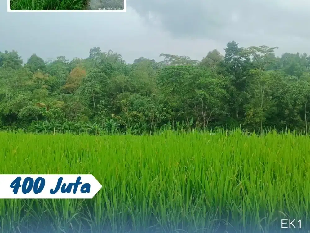Dijual Tanah Sawah Lokasi Karangpandan Karanganyar