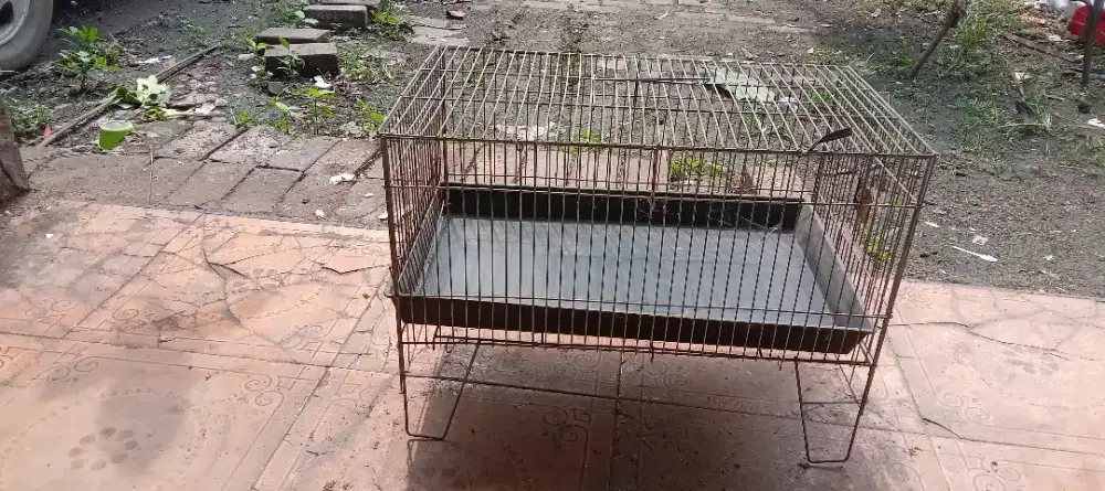 Keramba mandi burung