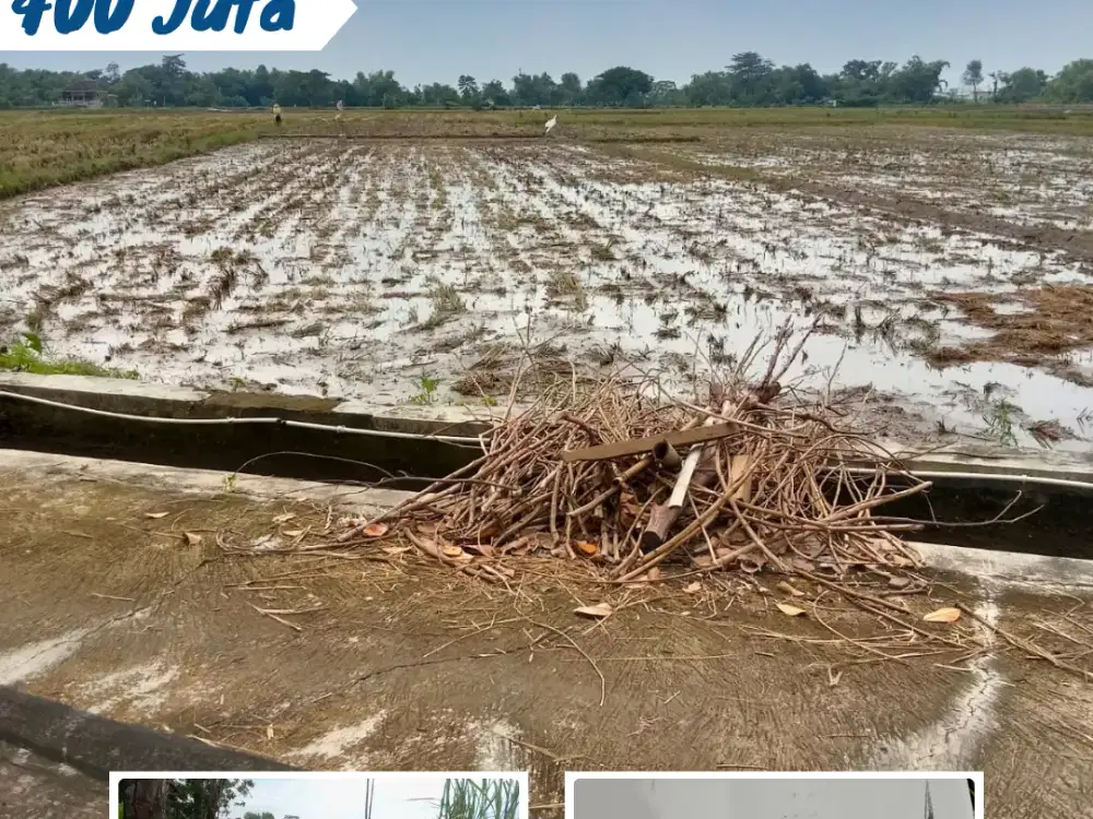 Dijual Sawah di Malanggaten Kebakkramat Karanganyar