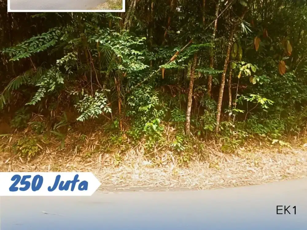 Dijual Tanah Lokasi Ngargoyoso Karanganyar