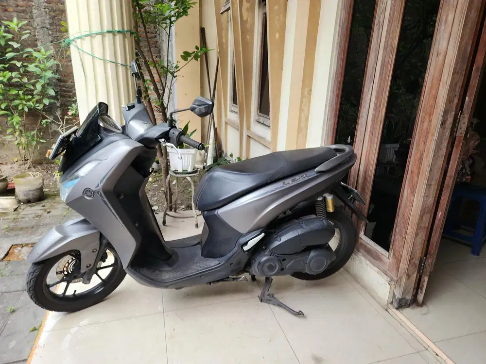 Lexi 125 f1 abu abu 2019 gbm