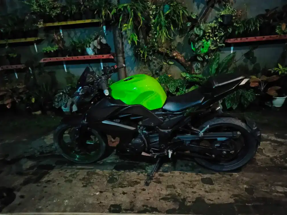 Ninja 250 FI ABS Jual apa adanya