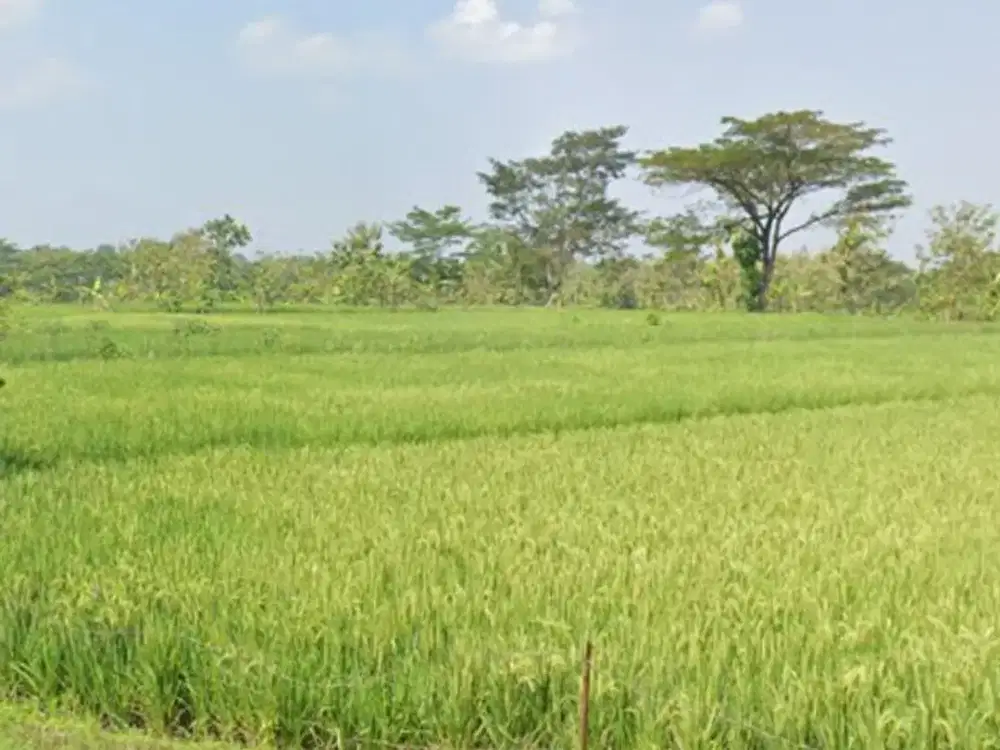 Dijual Lahan Zona Industri Lokasi Nguter,Sukoharjo Luas 6 Ha