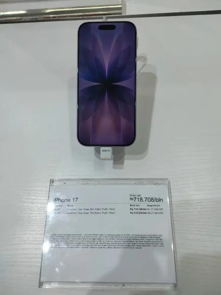 iPhone 17 internal 256 GB