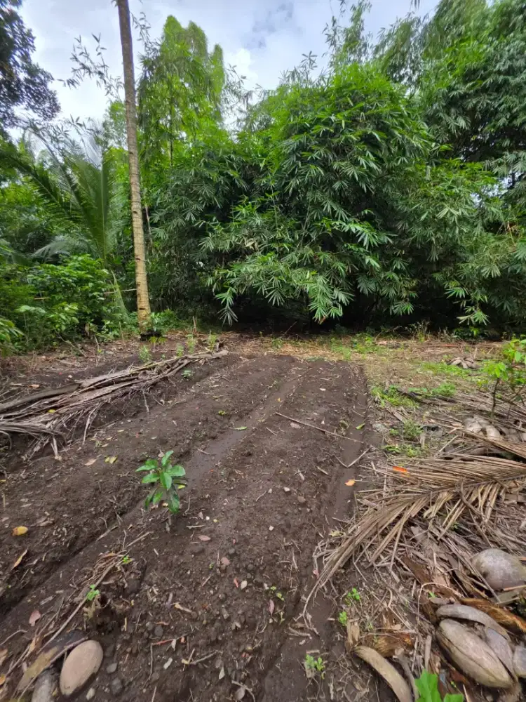 Dijual Tanah Pekarangan di Bimomartani Ngemplak Sleman