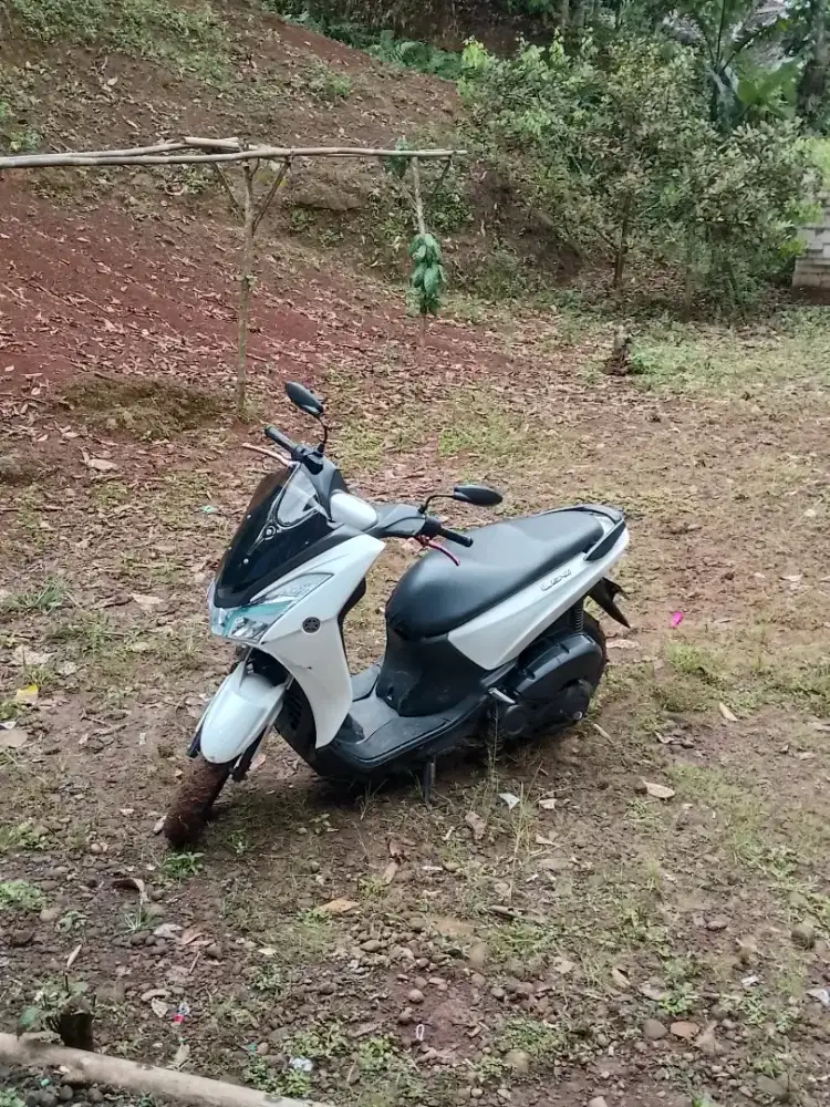 Di jual Lexi siap pake