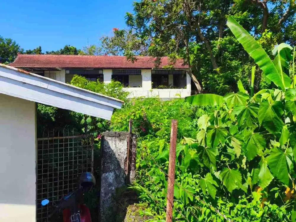 Hot Listing dijual cepat tanah mewah di jalan semboja