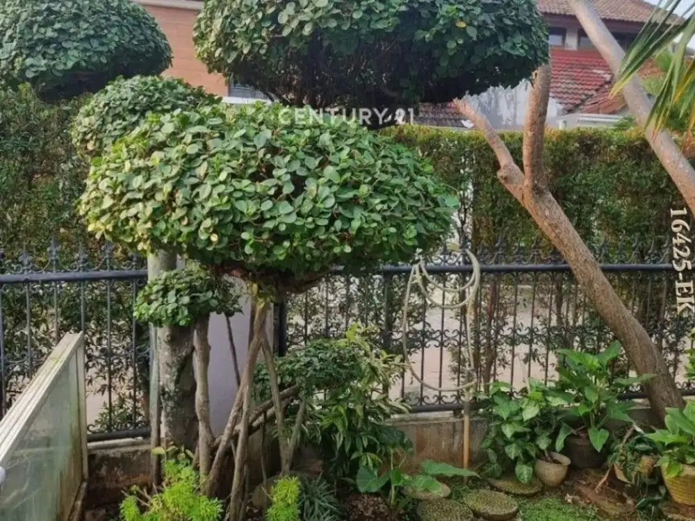 Dijual Rumah Hook di Graha Bintaro Jaya Halaman Luas Dengan Kolam Ikan