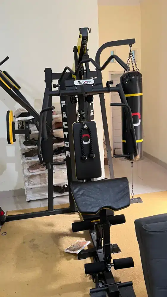 IReborn Factor alat gym multifungsi