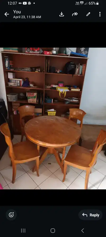 Mrja makan kayu jati belanda