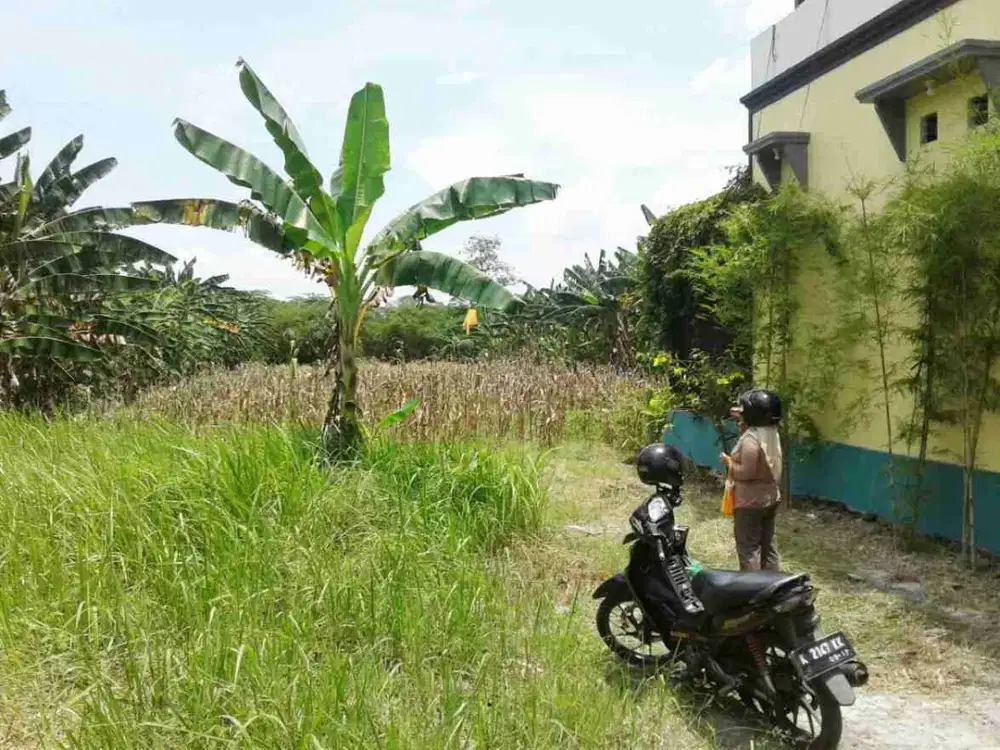 tanah siap bangun di Mranggen