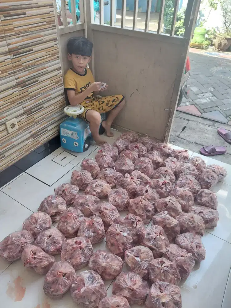 Balungan sapi fresh setiap hari