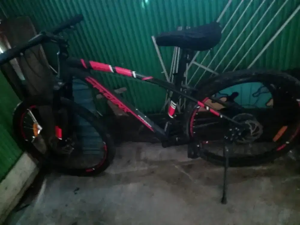 Sepeda New Phoenix