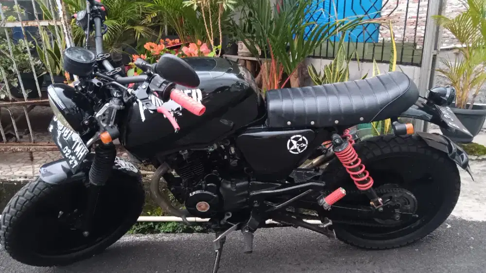 Cutom Bajaj Pulsar