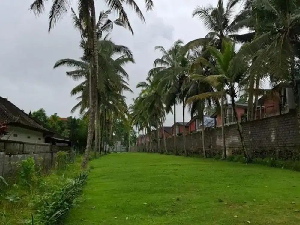 Tanah Premium 31 Are Dijual, di Area Kedewatan Ubud, Gianyar Area
