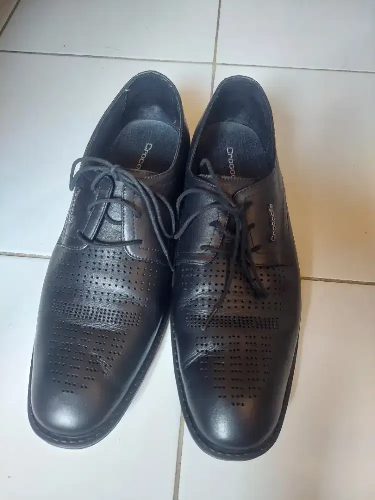 Sepatu Formal Crocodille ORIGINAL