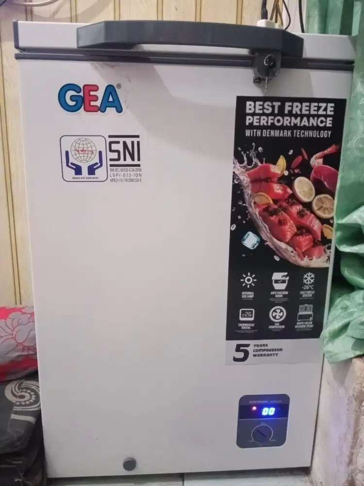 FREEZER BOX GEA 100 L