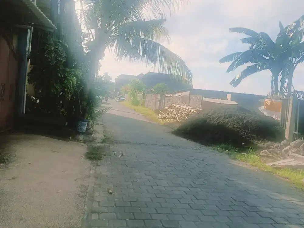 Jual Tanah Di Jalan Kalimutu Pura Demak Denpasar Bali. Dekat Ke Mahendradata,Teuku Umar Barat, imam Bonjol,Kuta,