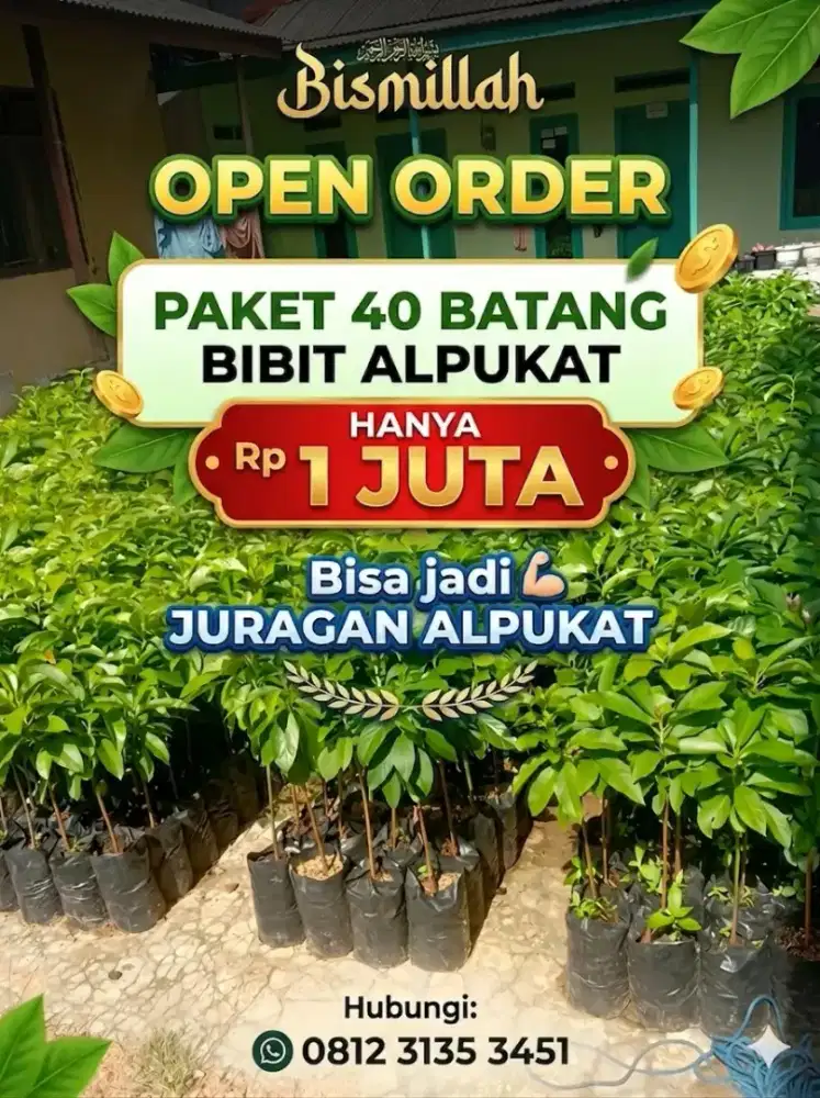 Paket 40 Bibit bonus 10 Bibit Alpukat mentega