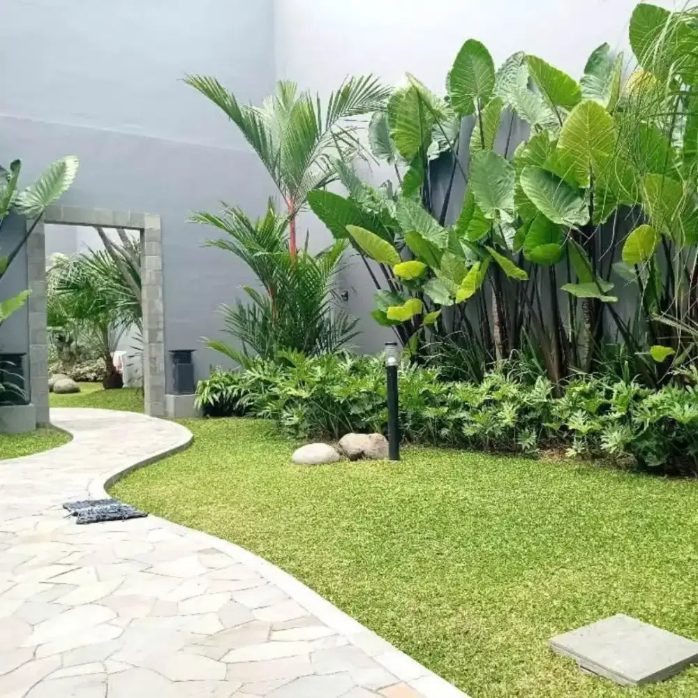 Jual rumput dan taman villa Bogor - tukang taman terdekatrdekat