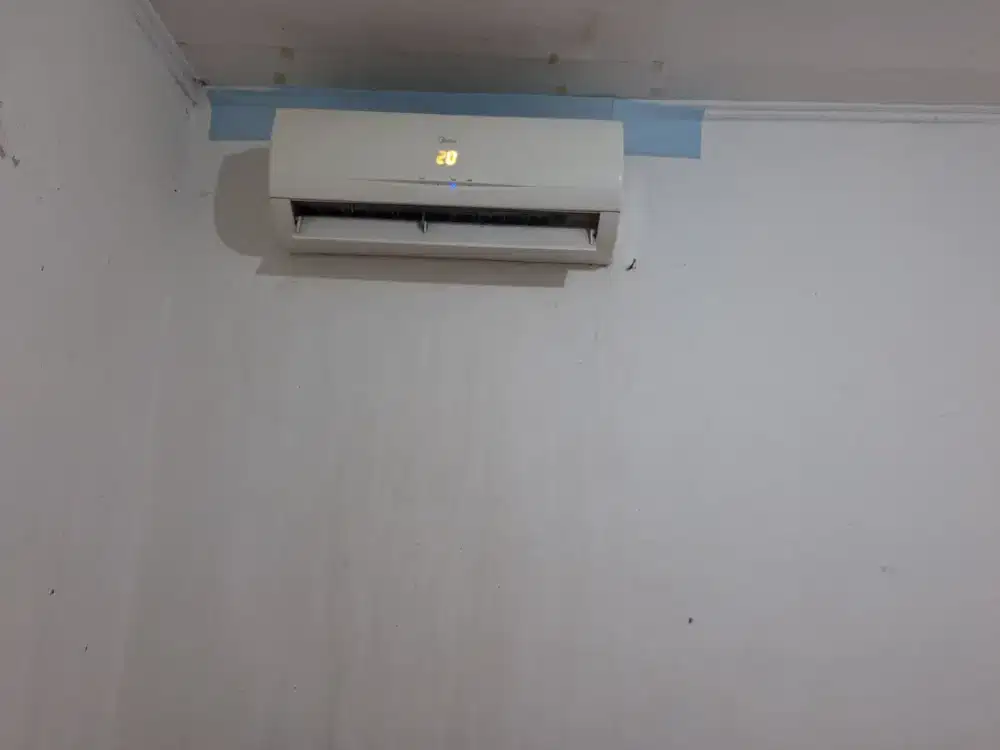 Ac 1/2 PK MULUS